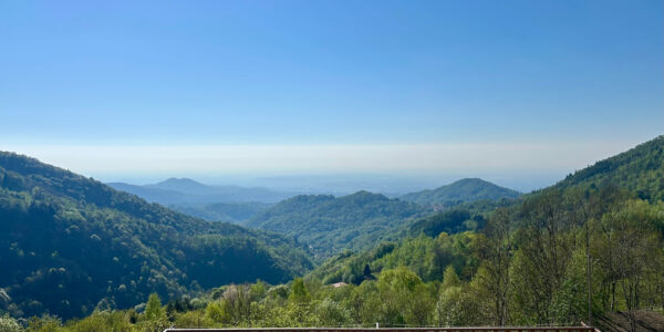 AUTENTICA CASA DI MONTAGNA CON TERRENO
